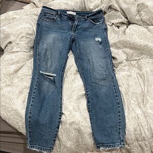 Carley Jean Los Angeles Vigoss Distressed Skinny Jeans in Blue